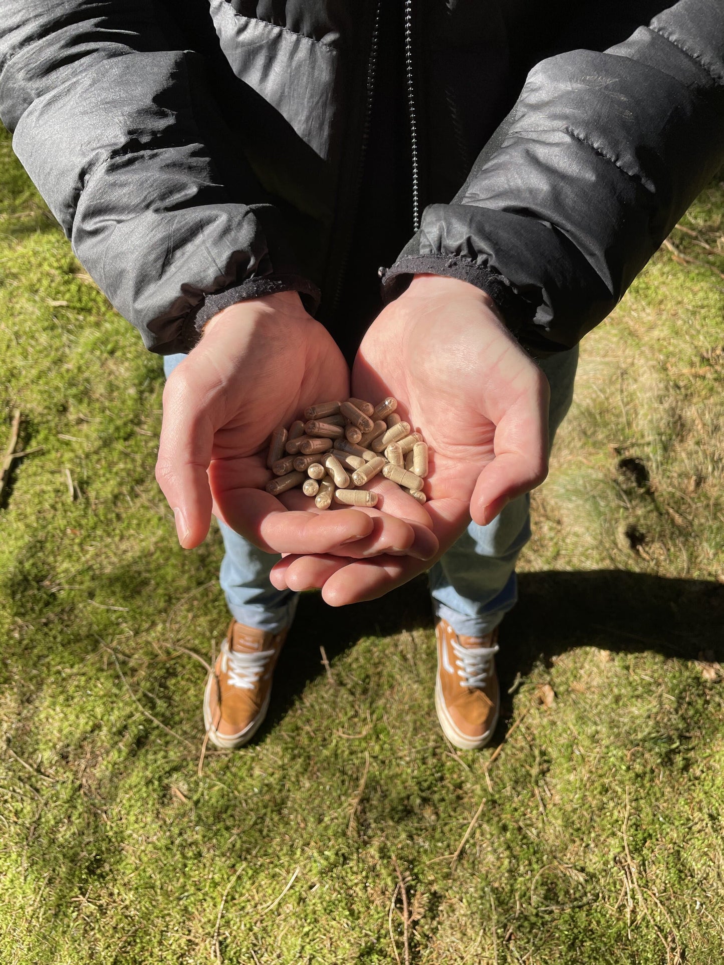 Grass-Fed Beef Organ Capsules