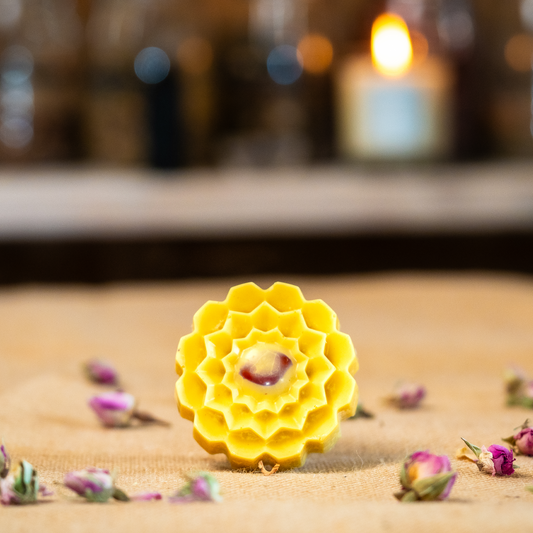 🎁 Goddess Bath Melt (100% off)